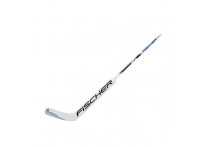 Вратарская клюшка Fischer GW250 JR